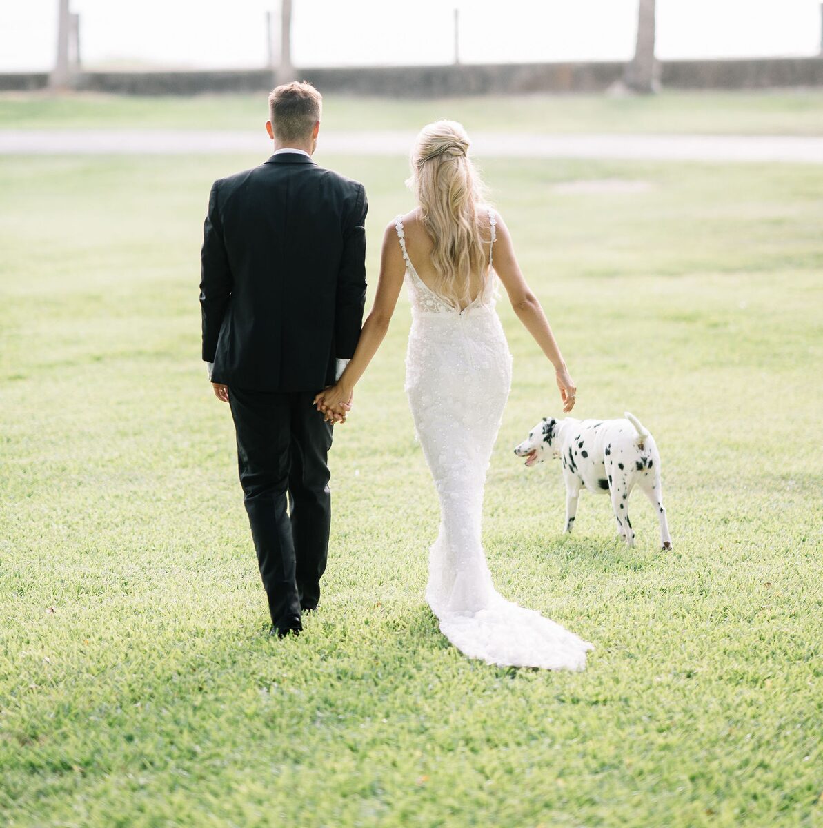Bride and groom walking hand in hand across a lawn with their Dalmatian
